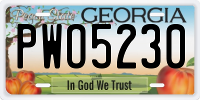 GA license plate PWO5230