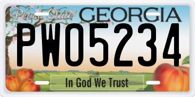 GA license plate PWO5234
