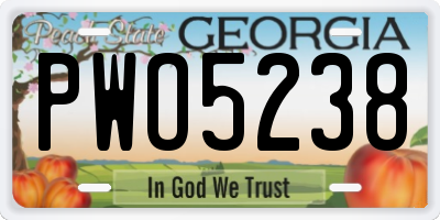 GA license plate PWO5238