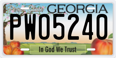 GA license plate PWO5240