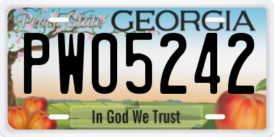GA license plate PWO5242