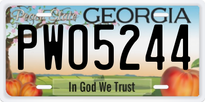 GA license plate PWO5244