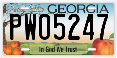 GA license plate PWO5247
