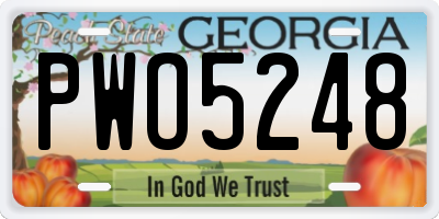 GA license plate PWO5248