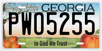 GA license plate PWO5255