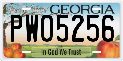 GA license plate PWO5256