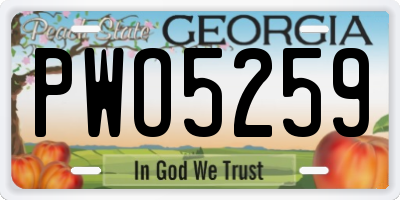 GA license plate PWO5259