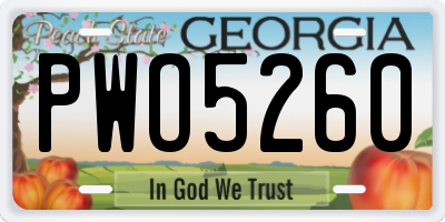 GA license plate PWO5260