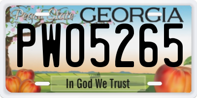 GA license plate PWO5265