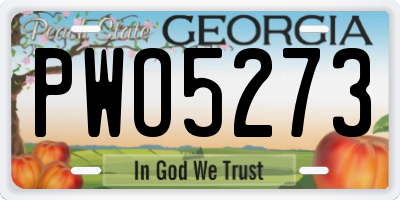 GA license plate PWO5273