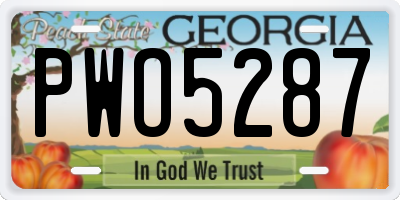 GA license plate PWO5287