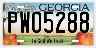 GA license plate PWO5288
