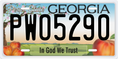 GA license plate PWO5290