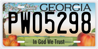 GA license plate PWO5298