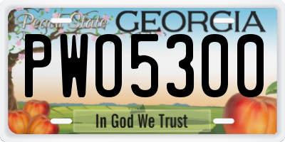 GA license plate PWO5300
