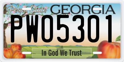 GA license plate PWO5301