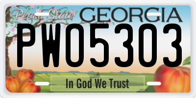 GA license plate PWO5303
