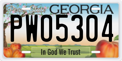 GA license plate PWO5304