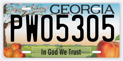 GA license plate PWO5305