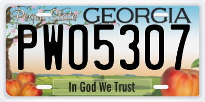 GA license plate PWO5307