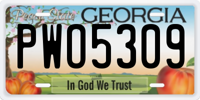 GA license plate PWO5309