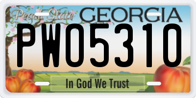 GA license plate PWO5310