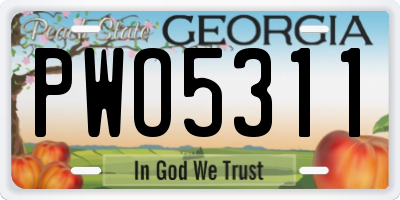 GA license plate PWO5311