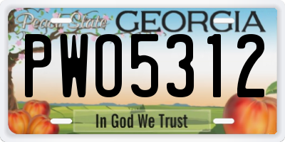 GA license plate PWO5312
