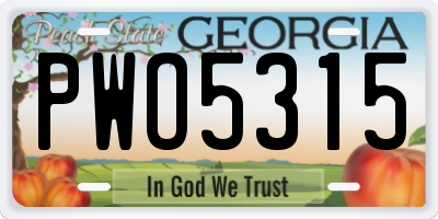 GA license plate PWO5315