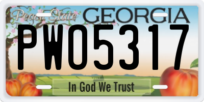 GA license plate PWO5317