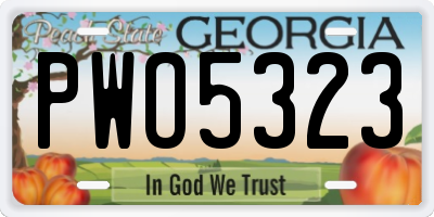 GA license plate PWO5323