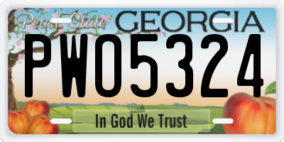 GA license plate PWO5324
