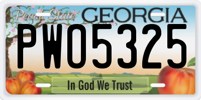 GA license plate PWO5325