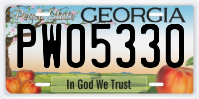 GA license plate PWO5330