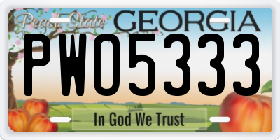 GA license plate PWO5333