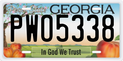 GA license plate PWO5338