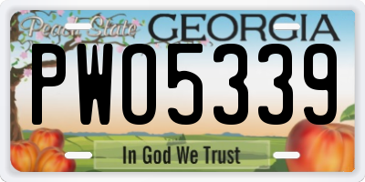 GA license plate PWO5339