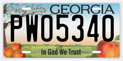 GA license plate PWO5340