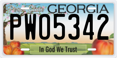 GA license plate PWO5342