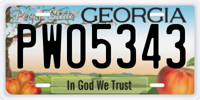 GA license plate PWO5343