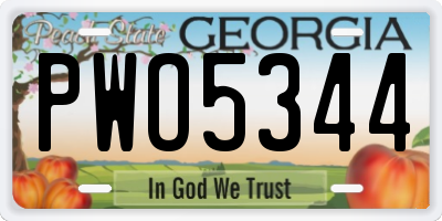 GA license plate PWO5344