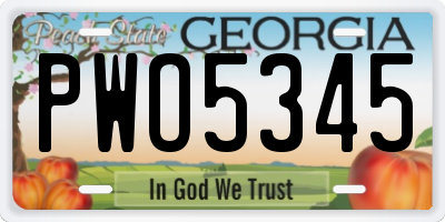 GA license plate PWO5345