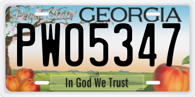 GA license plate PWO5347