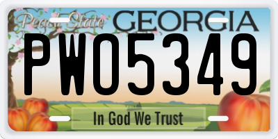 GA license plate PWO5349