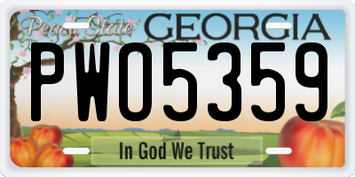 GA license plate PWO5359