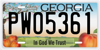 GA license plate PWO5361