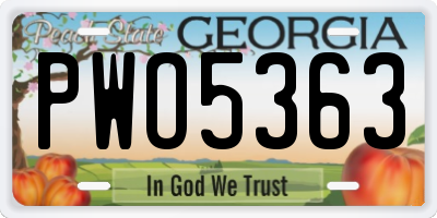 GA license plate PWO5363