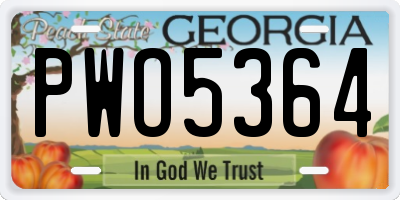 GA license plate PWO5364
