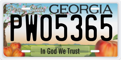 GA license plate PWO5365