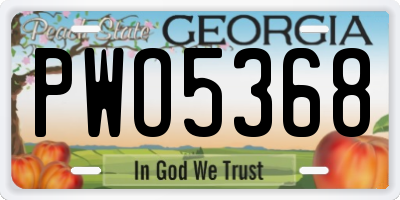 GA license plate PWO5368